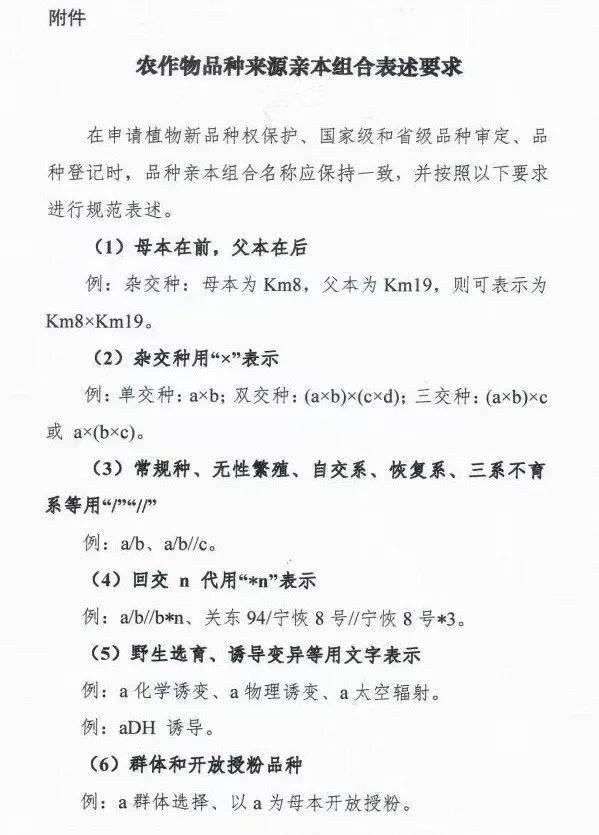 新闻描述图