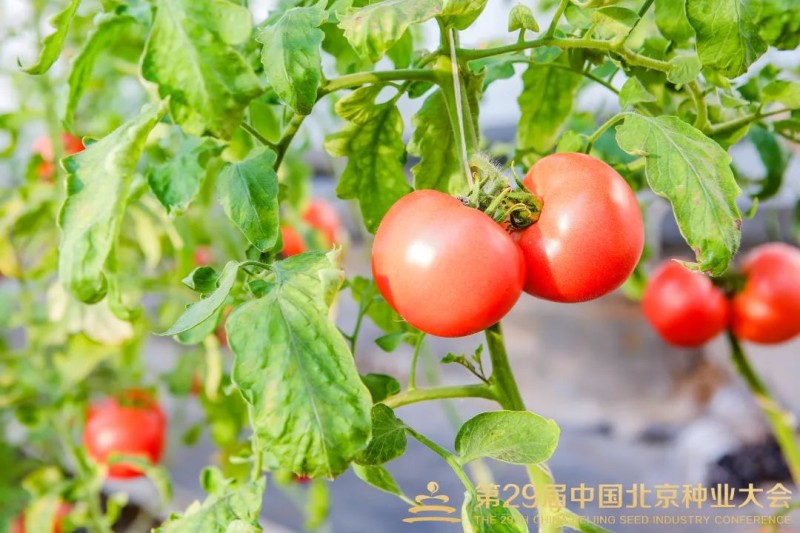 新闻描述图 新闻描述图