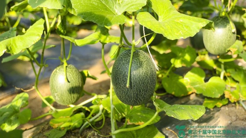 新闻描述图 新闻描述图