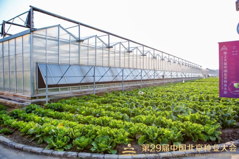 新闻描述图 新闻描述图