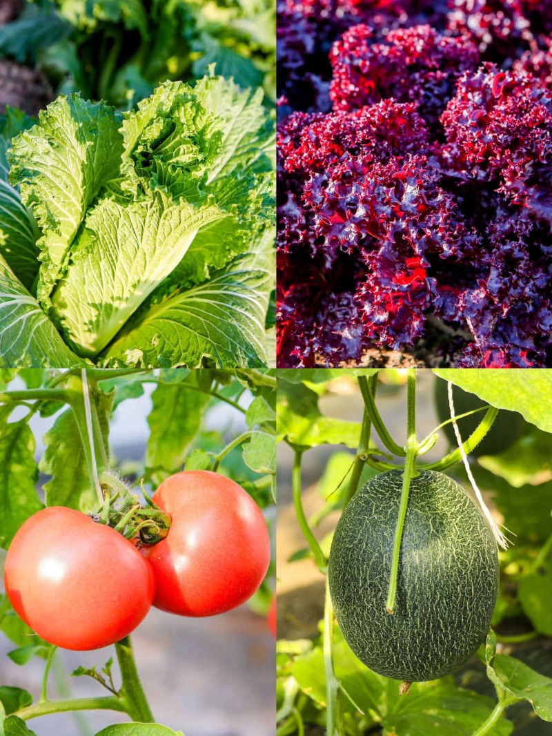 新闻描述图 新闻描述图