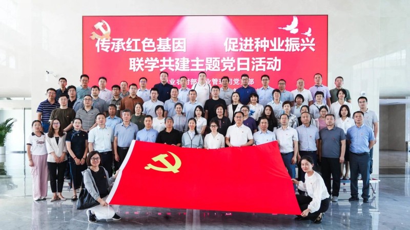 新闻描述图