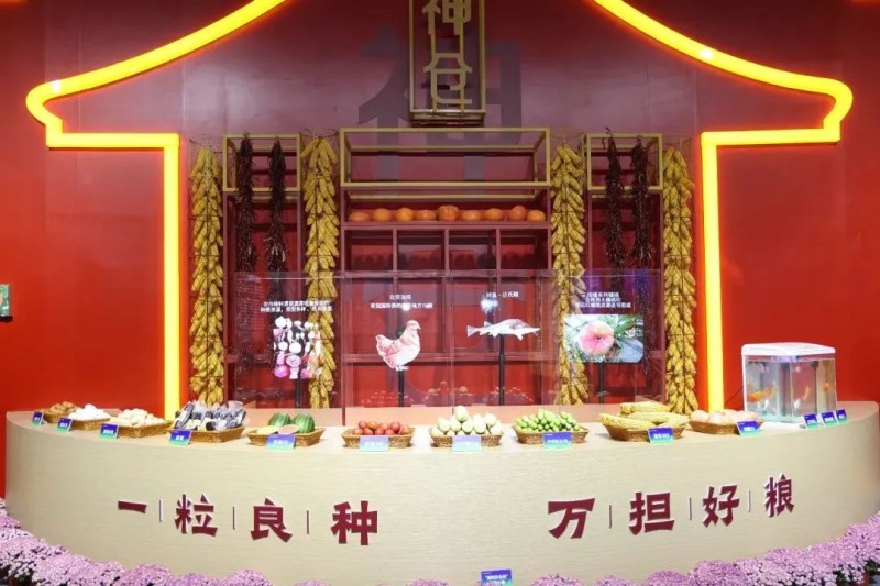 新闻描述图