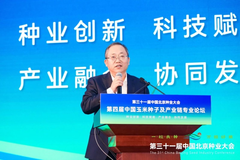 新闻描述图