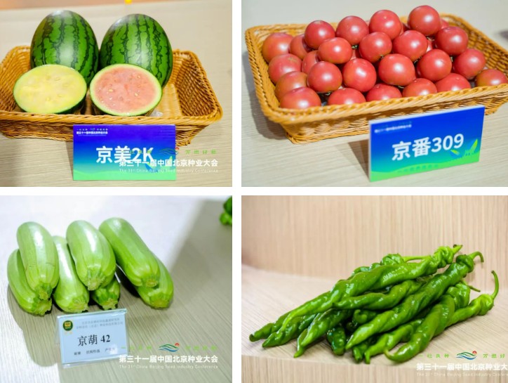 新闻描述图